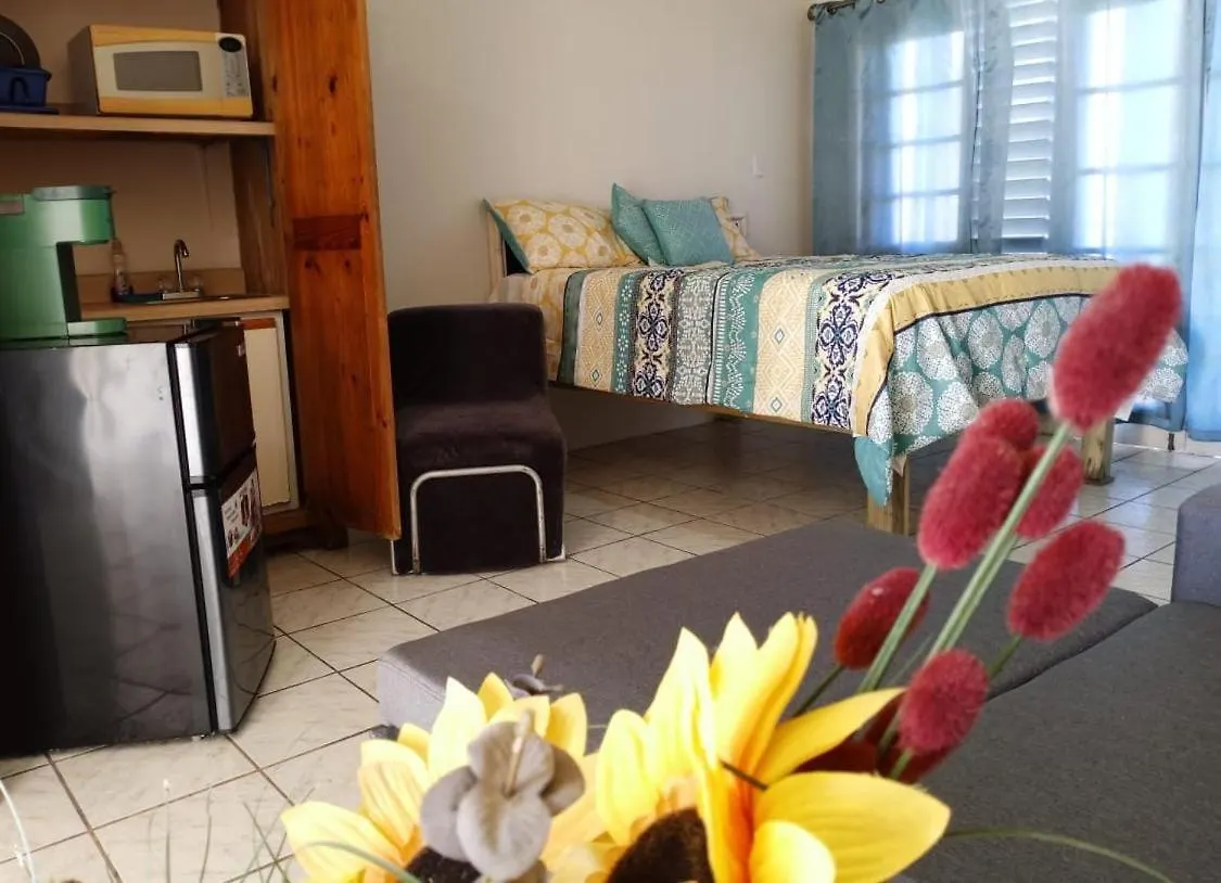 Ridgeway Guest House Montego Bay